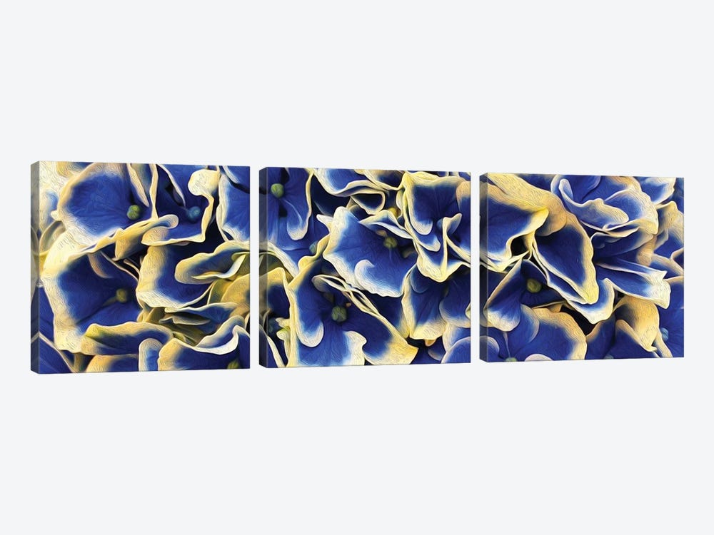 Horizontal Background From Flowers Of Large Leaved Hydrangea by Ievgeniia Bidiuk 3-piece Canvas Wall Art