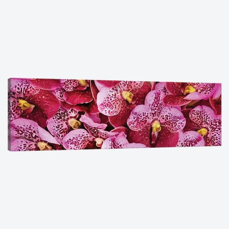 Background From Pink Tiger Orchids Canvas Print #IVG234} by Ievgeniia Bidiuk Canvas Artwork