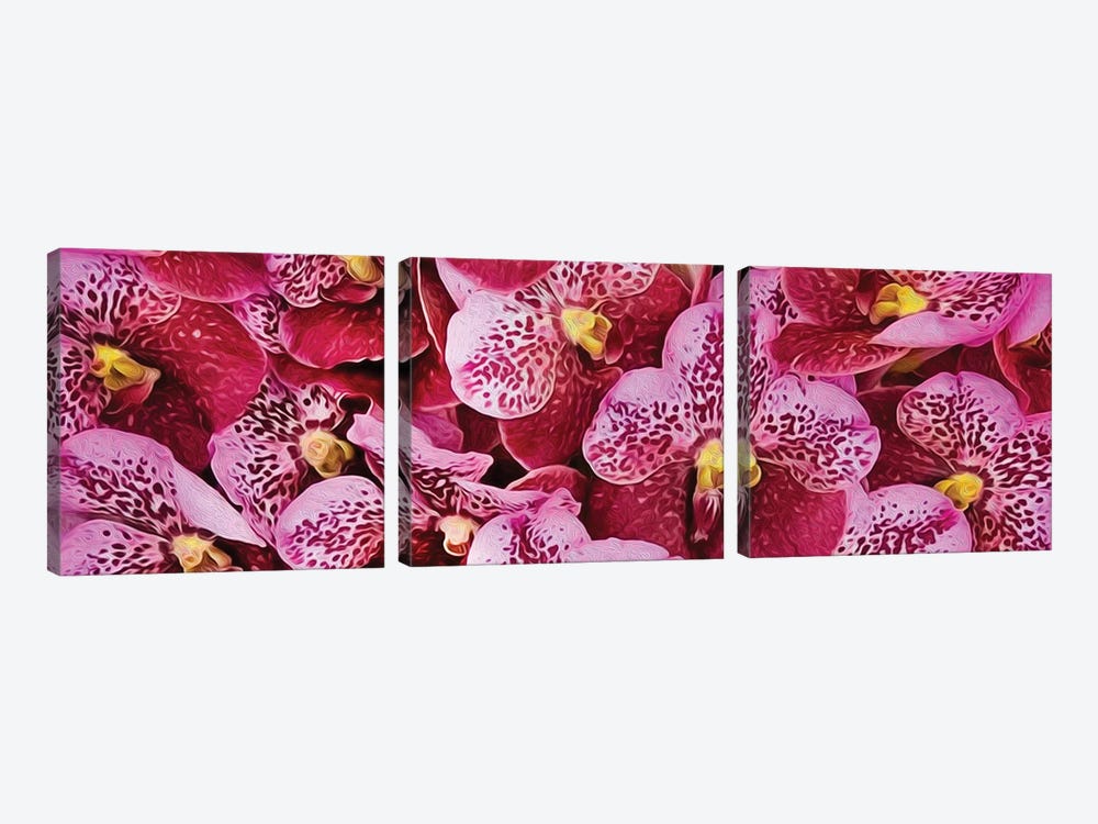Background From Pink Tiger Orchids by Ievgeniia Bidiuk 3-piece Canvas Wall Art