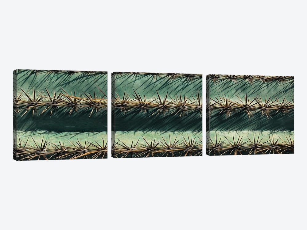 Horizontal Background Of A Cactus Close Up by Ievgeniia Bidiuk 3-piece Canvas Artwork