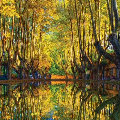 Beautiful Autumn Landscape by Ievgeniia Bidiuk framed wall art