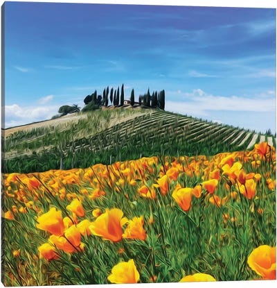 Yellow Flowers On The Background Of A Hill With A Vineyard In Tuscany Canvas Art Print - Ievgeniia Bidiuk