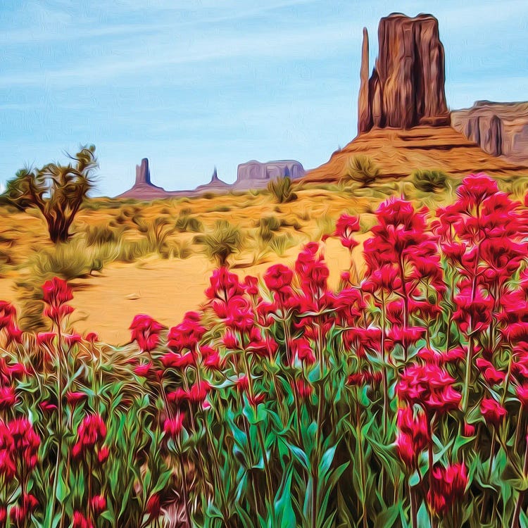 Blooming Red Flowers Against The Background Of The Texas Desert