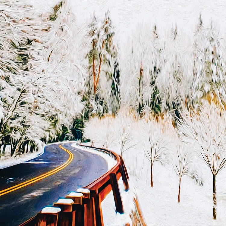 Mountain Winter Trail Between Trees by Ievgeniia Bidiuk wall art