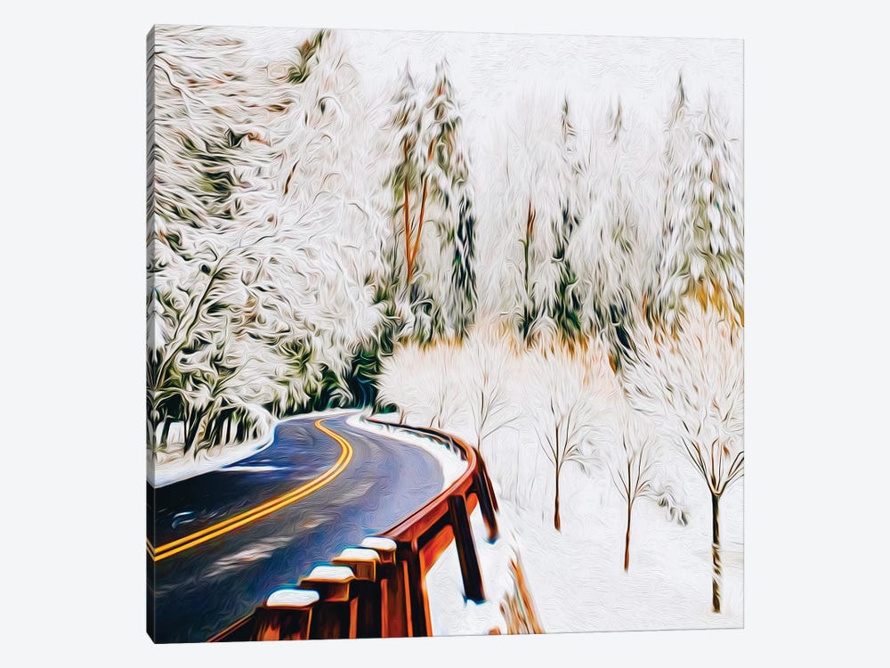 Mountain Winter Trail Between Trees by Ievgeniia Bidiuk 1-piece Art Print