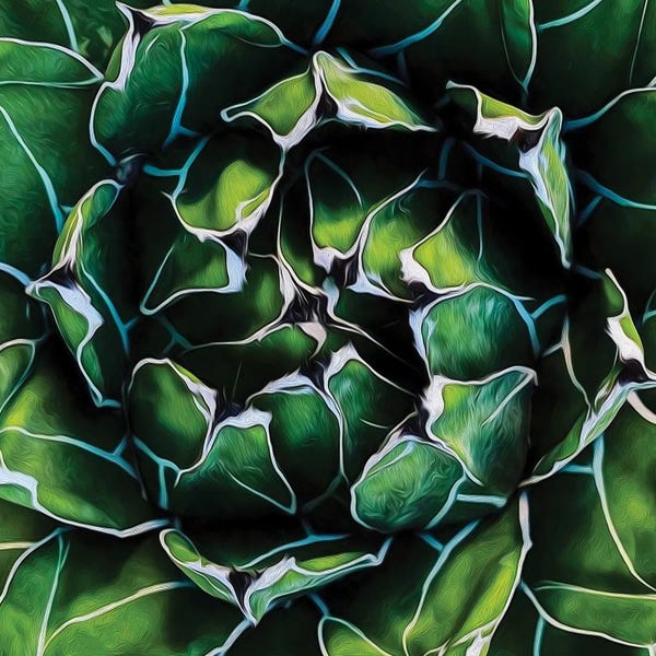 Ievgeniia Bidiuk: Green Yellow Succulent by Ievgeniia Bidiuk