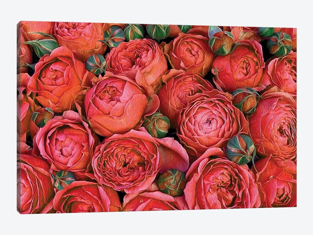 Orange Roses With Buds by Ievgeniia Bidiuk 1-piece Canvas Art Print