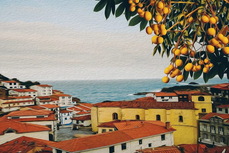 Branch With Marula Fruits On The Background Of The Old City