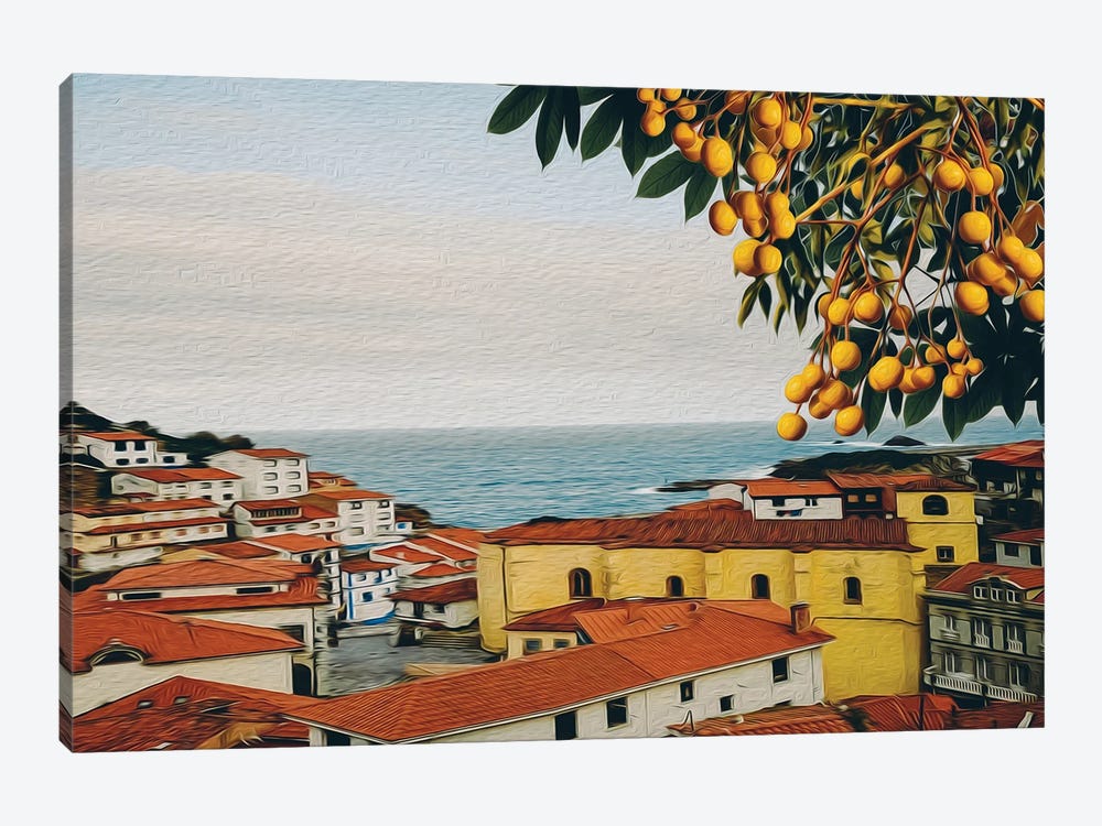 Branch With Marula Fruits On The Background Of The Old City by Ievgeniia Bidiuk 1-piece Art Print