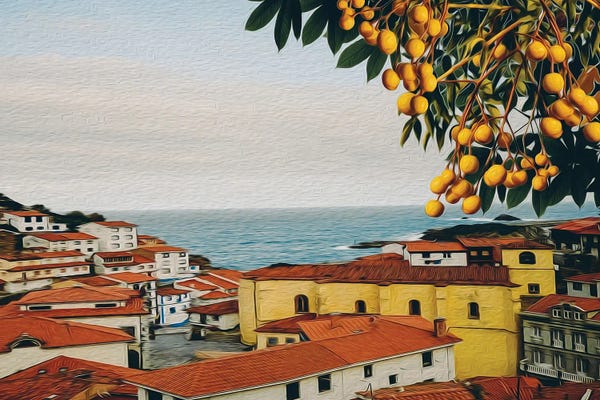 Ievgeniia Bidiuk: Branch With Marula Fruits On The Background Of The Old City by Ievgeniia Bidiuk