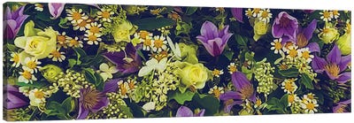 Background From Flowers Of Daisies, Yellow Roses, Purple Clematis And White Lilac Canvas Art Print - Lilac Art
