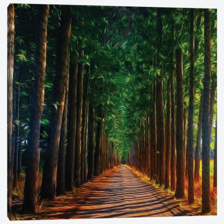 Long Road Through The Forest Canvas Print #IVG256} by Ievgeniia Bidiuk Canvas Wall Art