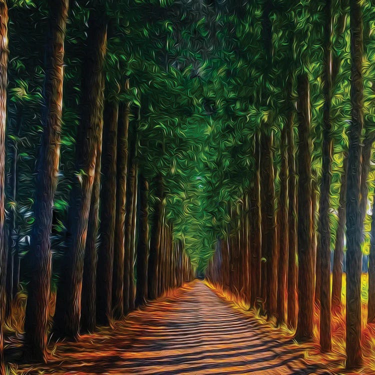 Long Road Through The Forest