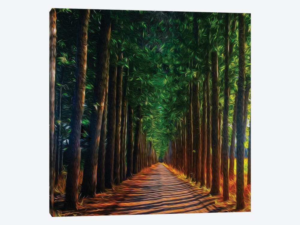 Long Road Through The Forest by Ievgeniia Bidiuk 1-piece Canvas Wall Art