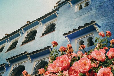 Peach Roses On The Background Of An Old House In Turkey by Ievgeniia Bidiuk canvas print