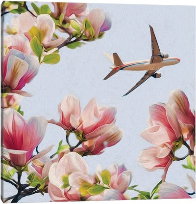 View Of A Flying Plane Through The Branches Of A Blooming Magnolia Canvas Art Print - Magnolia Art