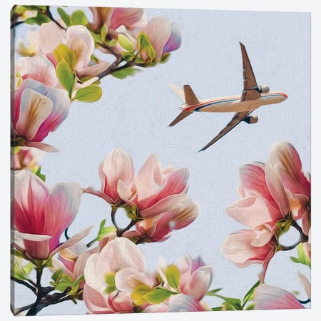 View Of A Flying Plane Through The Branches Of A Blooming Magnolia Canvas Print #IVG264} by Ievgeniia Bidiuk Art Print