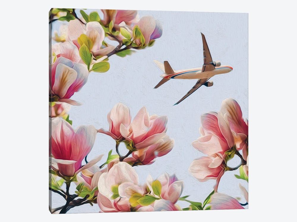 View Of A Flying Plane Through The Branches Of A Blooming Magnolia by Ievgeniia Bidiuk 1-piece Canvas Print