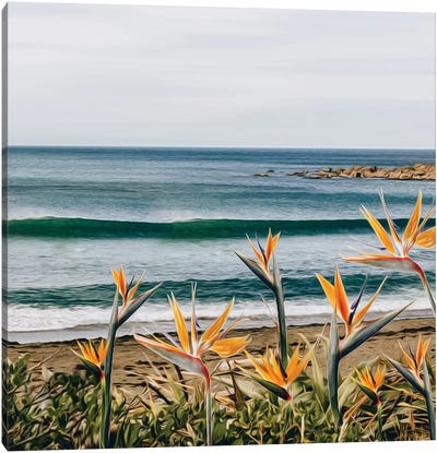 Blooming Strelitzia On The Beach Canvas Art Print - Wave Art