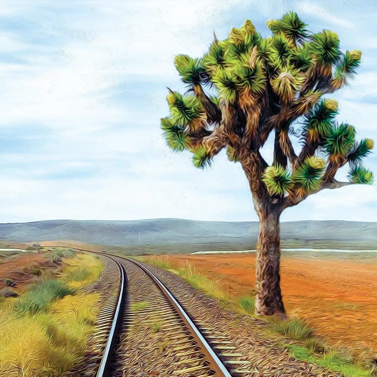 Railroad In The Texas Desert by Ievgeniia Bidiuk wall art