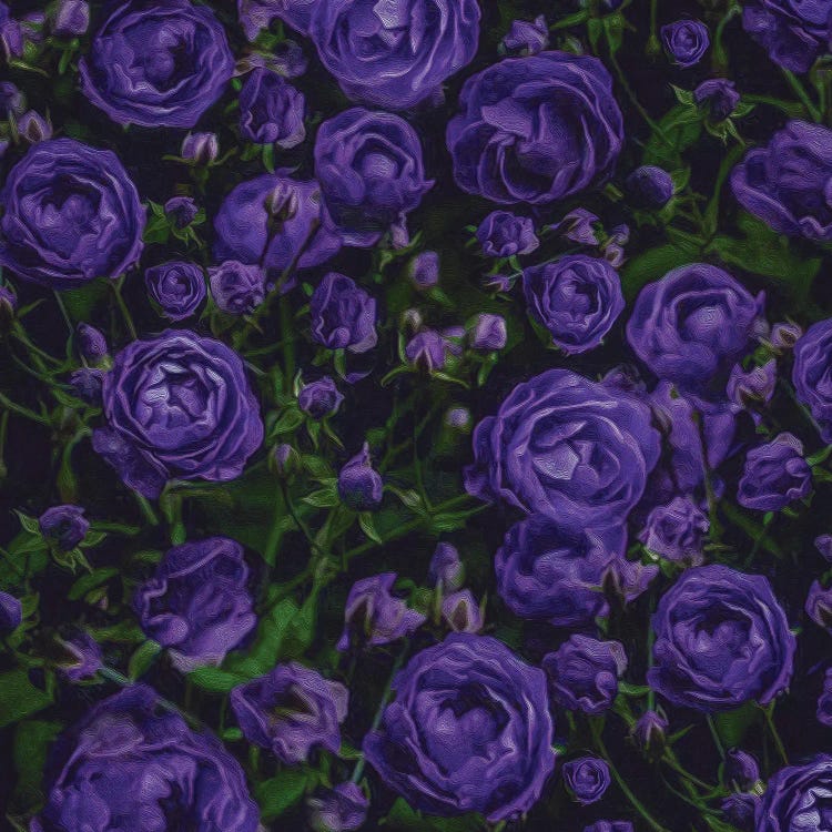 Abstract Background From A Bush Of Blue Roses