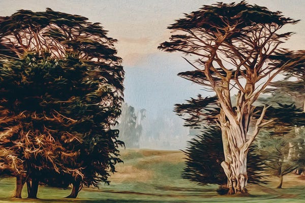 Ievgeniia Bidiuk: A Square With Large Trees by Ievgeniia Bidiuk