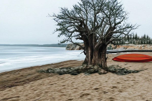 Ievgeniia Bidiuk: Big Tree And An Orange Boat On The Shore Of A Winter Lake by Ievgeniia Bidiuk