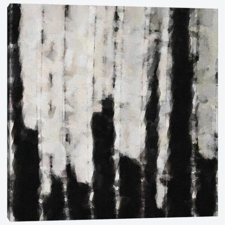 Black And White Abstraction On Canva Canvas Print #IVG28} by Ievgeniia Bidiuk Canvas Art