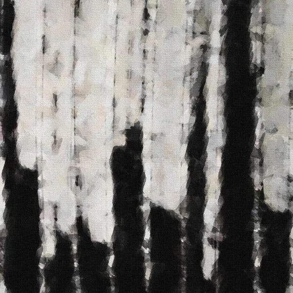 Ievgeniia Bidiuk: Black And White Abstraction On Canva by Ievgeniia Bidiuk