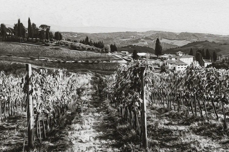 Tuscany In Black And White