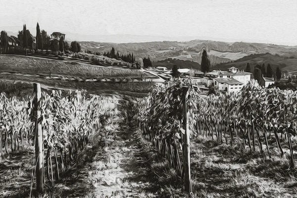 Ievgeniia Bidiuk: Tuscany In Black And White by Ievgeniia Bidiuk