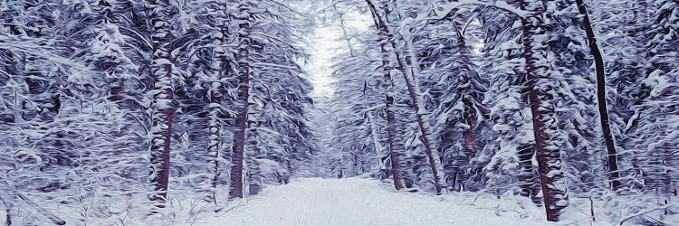 Snowy Road In The Forest by Ievgeniia Bidiuk wall art