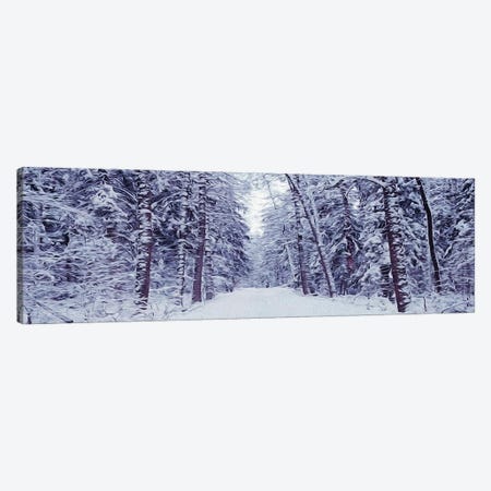 Snowy Road In The Forest Canvas Print #IVG293} by Ievgeniia Bidiuk Art Print