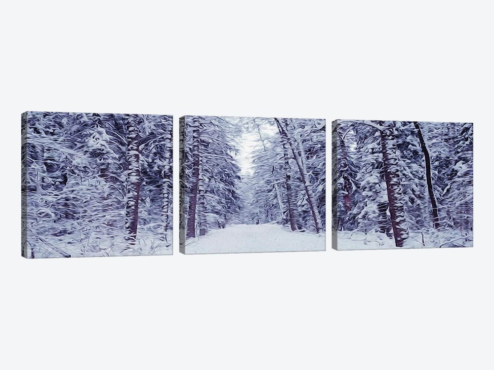 Snowy Road In The Forest by Ievgeniia Bidiuk 3-piece Art Print