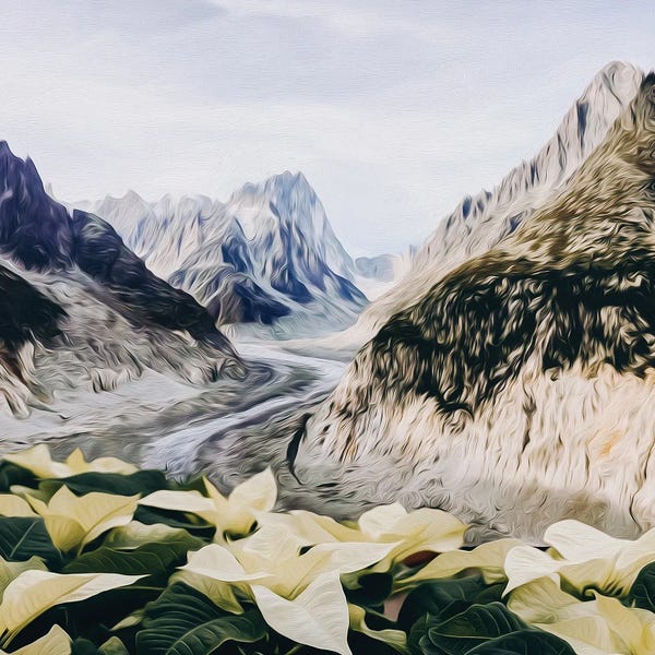 Ievgeniia Bidiuk: Blooming White Poinsettia Against The Background Of Mountains by Ievgeniia Bidiuk