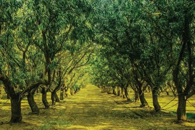 Spring Green Garden by Ievgeniia Bidiuk canvas print