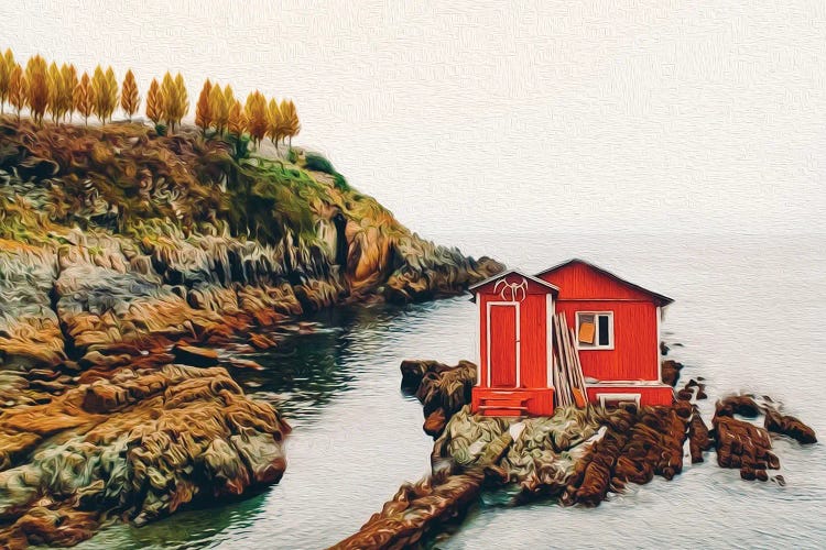 Red House On The Rocky Shore by Ievgeniia Bidiuk wall art