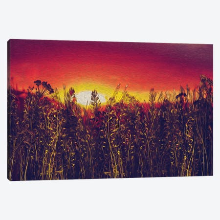 Steppe Grass On A Background Of Sunset Canvas Print #IVG301} by Ievgeniia Bidiuk Canvas Print