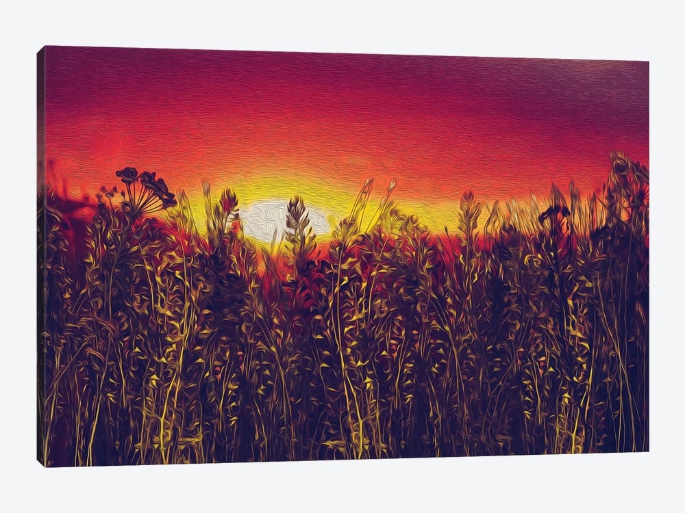 Steppe Grass On A Background Of Sunset by Ievgeniia Bidiuk 1-piece Canvas Art Print