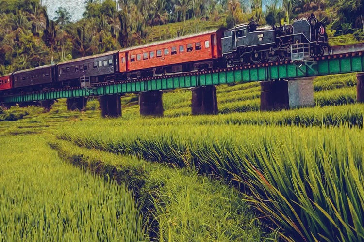 A Freight Locomotive In The Middle Of Asian Nature