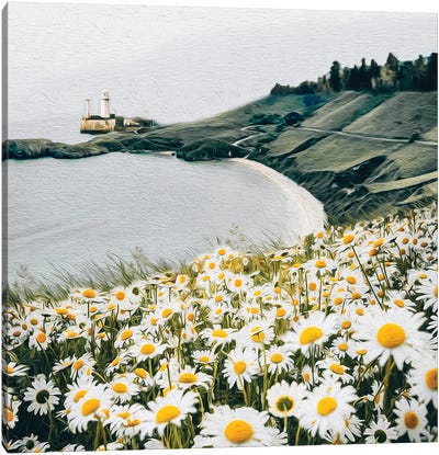 A Meadow Of Blooming Daisies Against The Backdrop Of A Seascape Canvas Art Print - Daisy Art