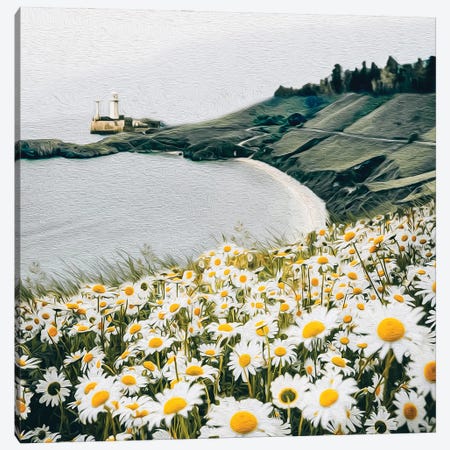 A Meadow Of Blooming Daisies Against The Backdrop Of A Seascape Canvas Print #IVG307} by Ievgeniia Bidiuk Canvas Art