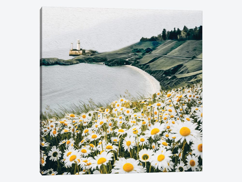 A Meadow Of Blooming Daisies Against The Backdrop Of A Seascape by Ievgeniia Bidiuk 1-piece Canvas Print