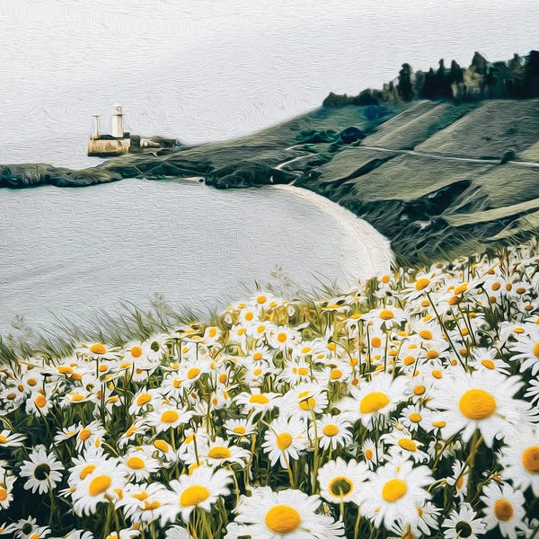Ievgeniia Bidiuk: A Meadow Of Blooming Daisies Against The Backdrop Of A Seascape by Ievgeniia Bidiuk