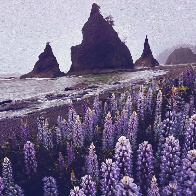 Blooming Lupine On The Background Of The Beach