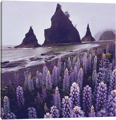 Blooming Lupine On The Background Of The Beach Canvas Art Print - Lupines