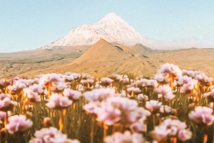 Blooming Meadow Against The Backdrop Of A Mountain Volcano