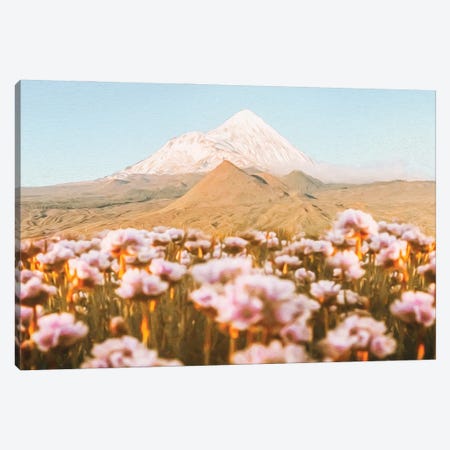 Blooming Meadow Against The Backdrop Of A Mountain Volcano Canvas Print #IVG311} by Ievgeniia Bidiuk Canvas Artwork