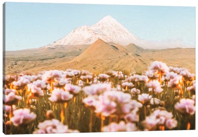 Blooming Meadow Against The Backdrop Of A Mountain Volcano Canvas Art Print - Volcano Art