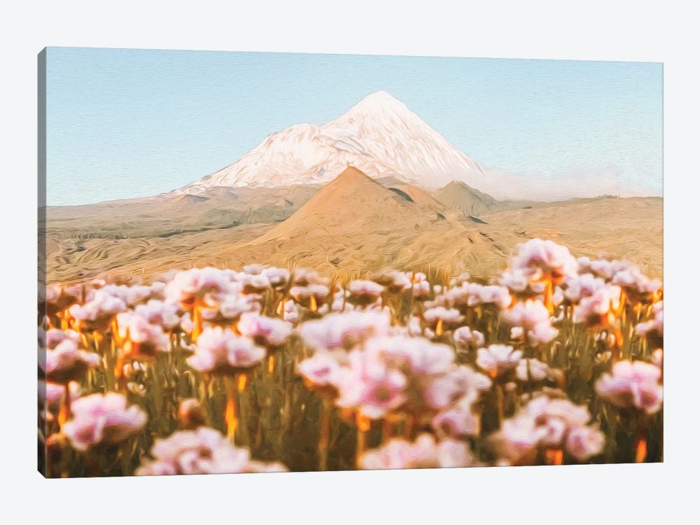 Blooming Meadow Against The Backdrop Of A Mountain Volcano by Ievgeniia Bidiuk 1-piece Canvas Wall Art